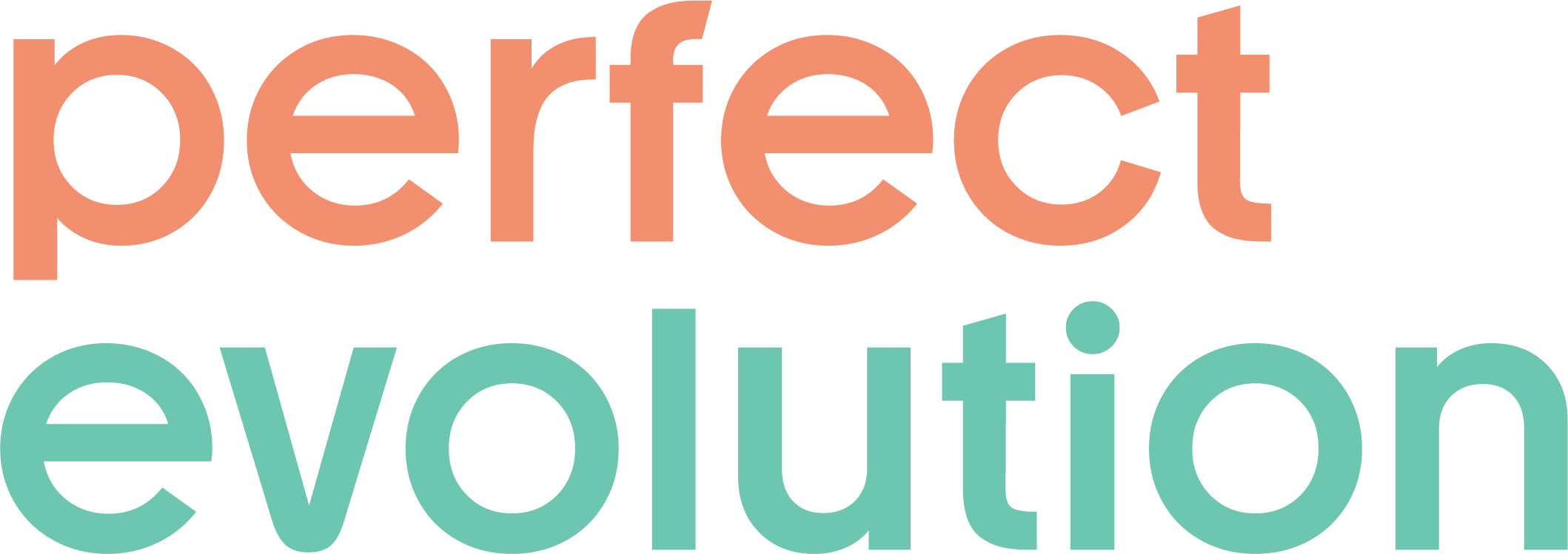 Perfect Evolution – Shopify & WordPress Websites for growing brands
